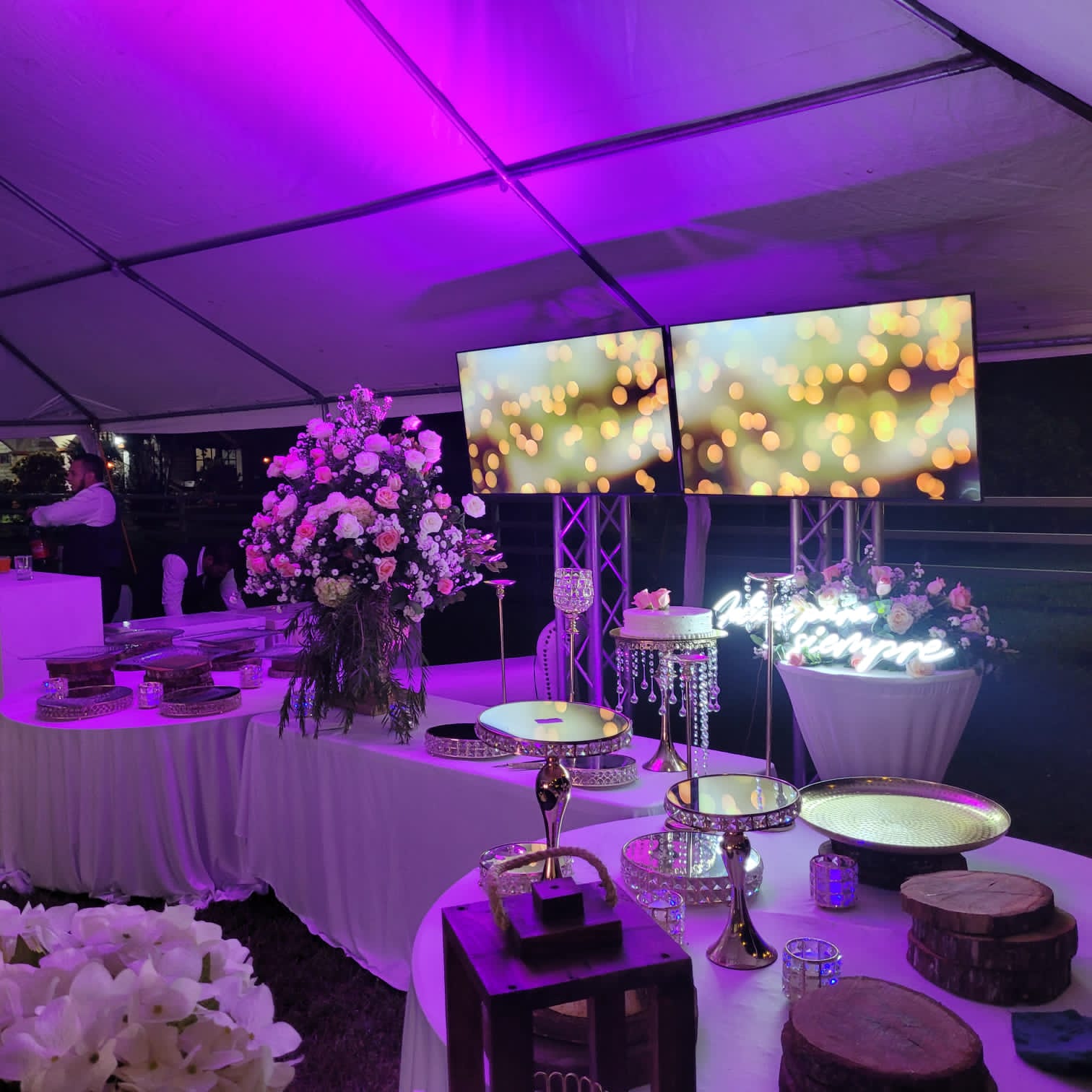 Odoo • Texto e imagen